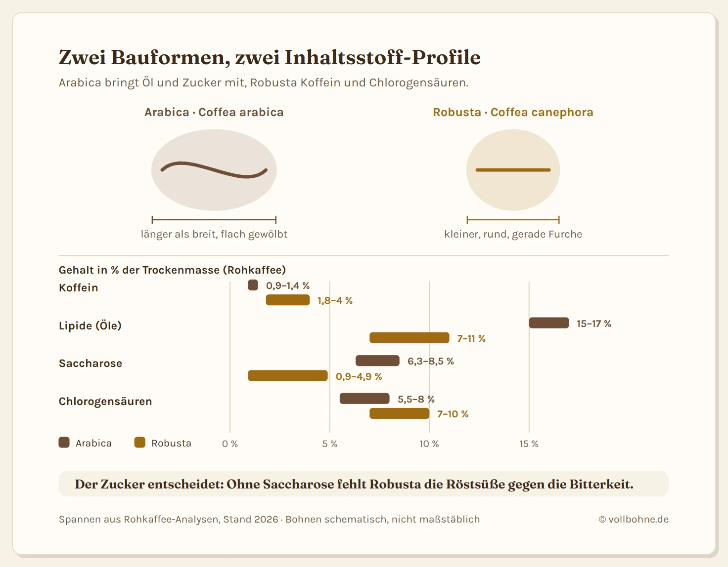 Schematischer Vergleich einer Arabica- und einer Robusta-Bohne mit Form und Schnittfurche, daneben Balkenpaare für Koffein, Lipide, Saccharose und Chlorogensäuren in Prozent der Trockenmasse.