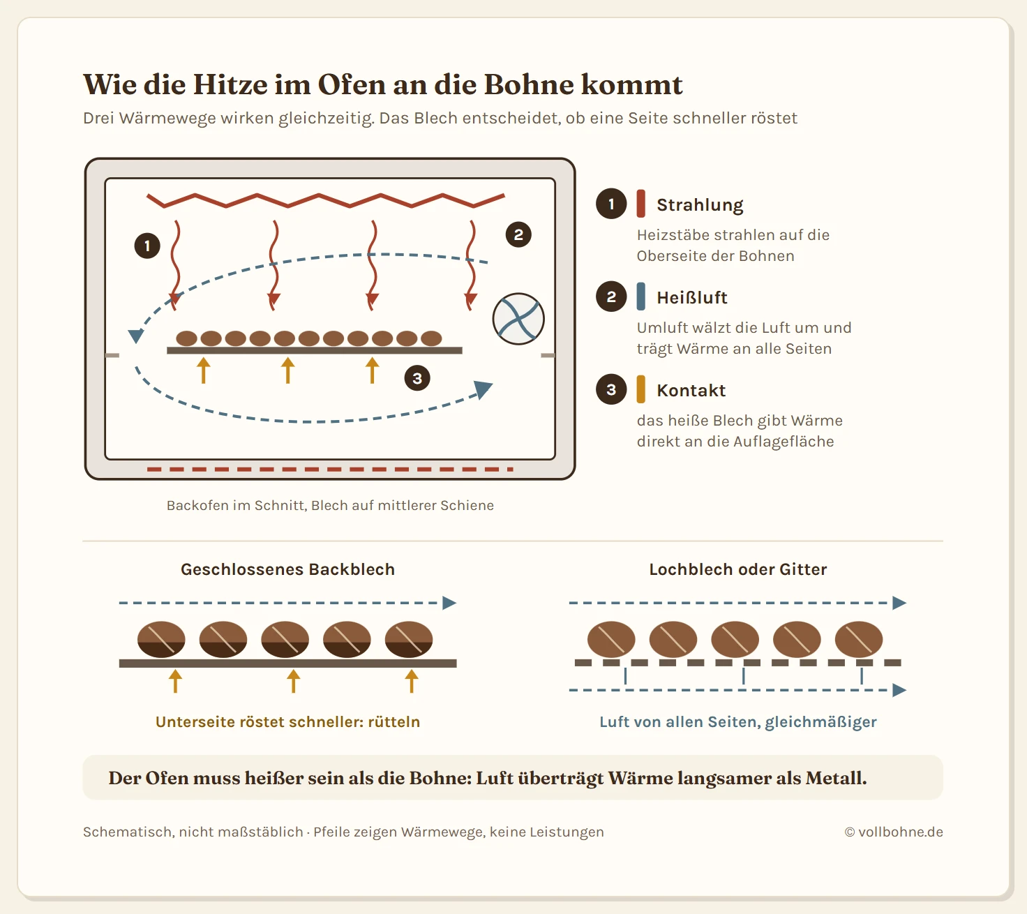 Schnitt durch einen Backofen mit einem Blech Kaffeebohnen. Drei Wärmewege: Strahlung der Heizstäbe von oben, Heißluft, die der Umluftventilator um das Blech wälzt, und Kontaktwärme vom Blech an die Auflagefläche. Darunter ein Vergleich: Auf dem geschlossenen Backblech wird die Unterseite der Bohnen dunkler, auf Lochblech oder Gitter strömt Luft von allen Seiten und die Bohnen rösten gleichmäßig.