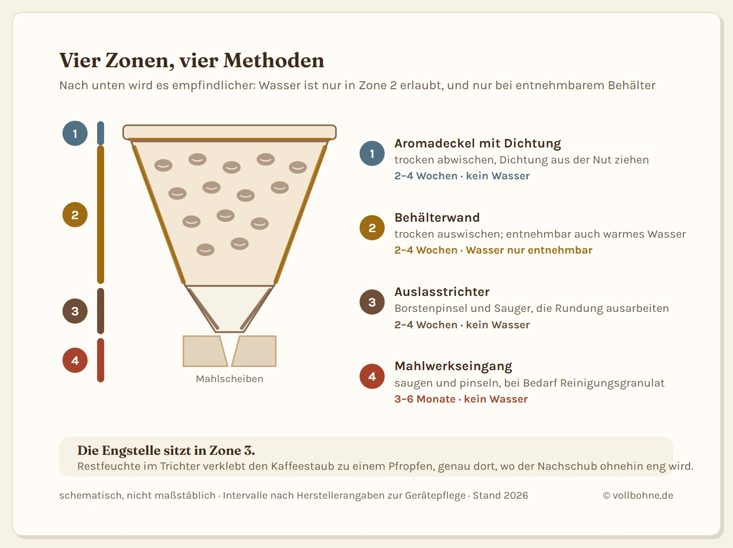 Querschnitt durch den Bohnenbehälter eines Kaffeevollautomaten mit vier farblich unterschiedenen Pflegezonen von oben nach unten. Zone 1 ist der Aromadeckel mit umlaufender Dichtung, er wird trocken abgewischt. Zone 2 ist die Behälterwand mit dem Ölfilm, sie wird trocken ausgewischt oder bei entnehmbaren Behältern mit warmem Wasser gespült. Zone 3 ist der Auslasstrichter, der ausschließlich trocken mit Pinsel und Sauger gereinigt wird. Zone 4 ist der Mahlwerkseingang, an dem nur gesaugt und gepinselt werden darf, niemals mit Wasser gearbeitet wird. Rechts eine Intervallleiste mit den Angaben alle zwei bis vier Wochen für die oberen Zonen und alle drei bis sechs Monate für den Mahlwerkseingang.