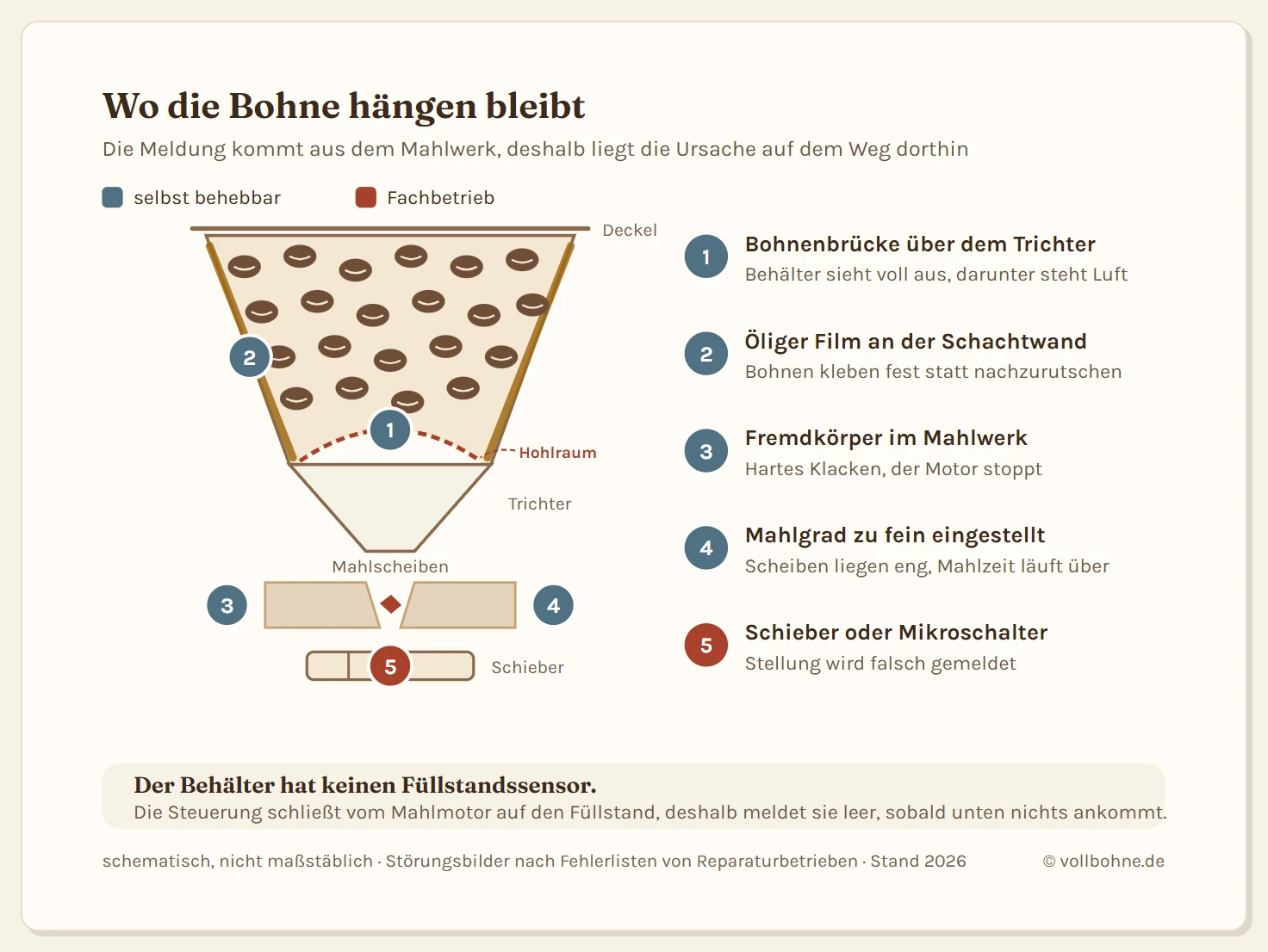 Querschnitt durch Bohnenbehälter, Auslasstrichter und Mahlwerk eines Kaffeevollautomaten mit fünf markierten Störstellen. Station 1 ist die Bohnenbrücke, ein Gewölbe aus verkeilten Bohnen über dem Trichter mit einem Hohlraum darunter. Station 2 ist der ölige Film an der Schachtwand, an dem Bohnen hängen bleiben. Station 3 ist ein Fremdkörper zwischen den Mahlscheiben. Station 4 ist ein zu fein eingestellter Mahlgrad, bei dem die Scheiben zu eng liegen. Station 5 ist der Mahlwerksschieber mit seinem Mikroschalter. Die ersten beiden Stationen sind selbst behebbar, die fünfte gehört in den Fachbetrieb.