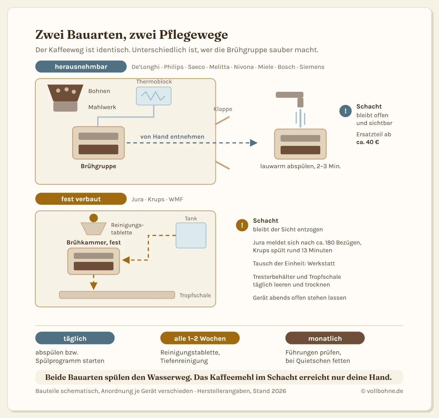 Zwei Schnittzeichnungen von Kaffeevollautomaten nebeneinander. Links eine herausnehmbare Brühgruppe: Die Serviceklappe an der Seite ist offen, ein Pfeil zeigt die Einheit nach außen, der Pflegeweg führt über die Hand unter den Wasserhahn. Rechts eine fest verbaute Brühgruppe hinter geschlossenem Gehäuse: Ein Kreislaufpfeil führt vom Wassertank durch die Brühkammer in die Tropfschale, die Reinigungstablette fällt über den Pulverschacht ein. Beide Geräte zeigen darüber Bohnenbehälter, Mahlwerk und Thermoblock. Darunter eine Zeitleiste der Pflegeschritte: täglich abspülen beziehungsweise Spülprogramm, alle ein bis zwei Wochen Reinigungstablette, monatlich Führungen prüfen und fetten.