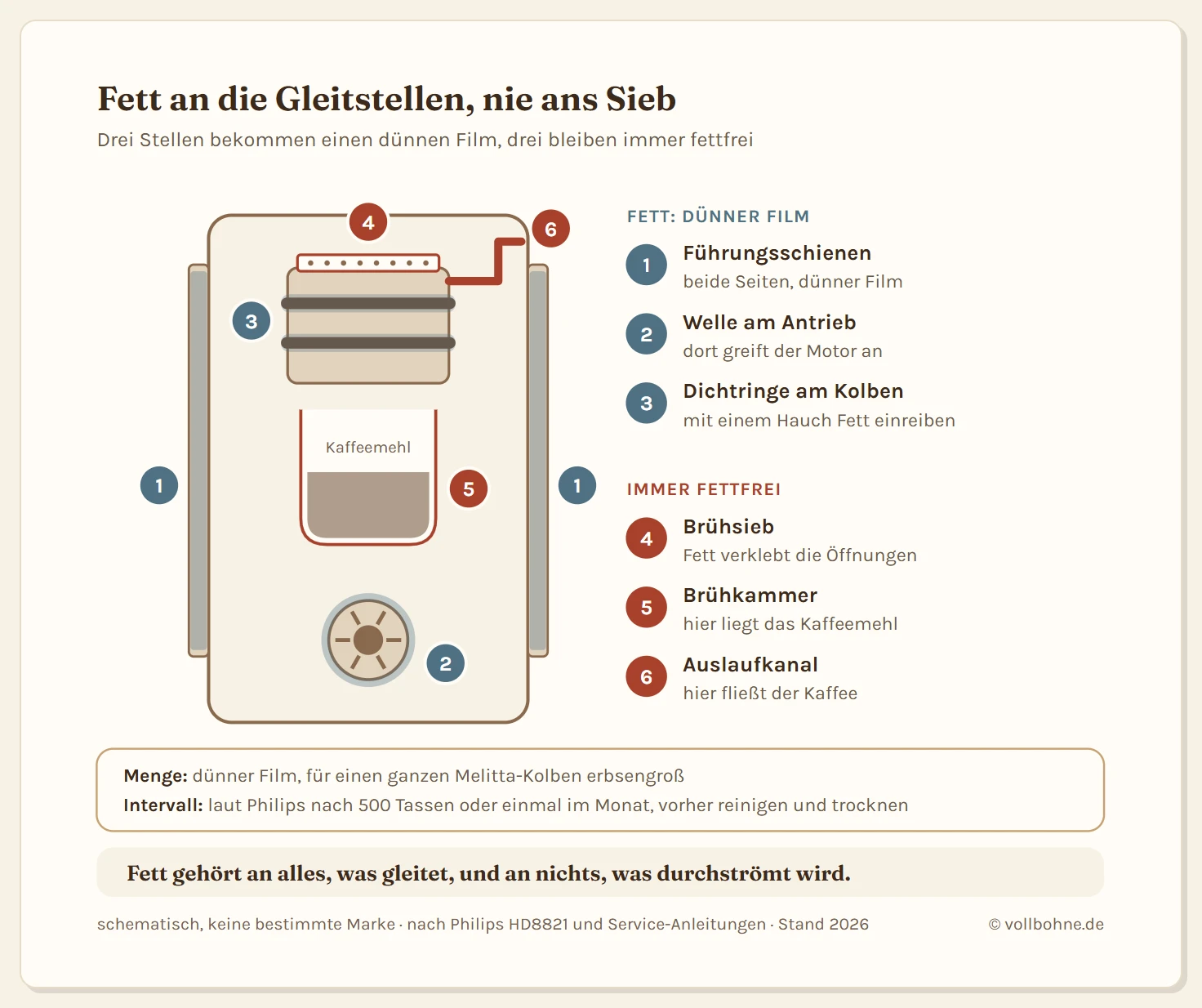 Seitenansicht einer herausnehmbaren Brühgruppe im Schema. Grün markiert sind die Stellen, die Fett bekommen: die beiden seitlichen Führungsschienen, die Welle am Antrieb und die Dichtringe am Brühkolben. Rot markiert sind die Stellen, die fettfrei bleiben: das Brühsieb am Kolben, die Brühkammer und der Auslaufkanal. Eine Legende nennt die Menge, einen dünnen Film beziehungsweise eine erbsengroße Menge für den ganzen Kolben, und das Intervall von 500 Tassen oder einem Monat laut Philips.