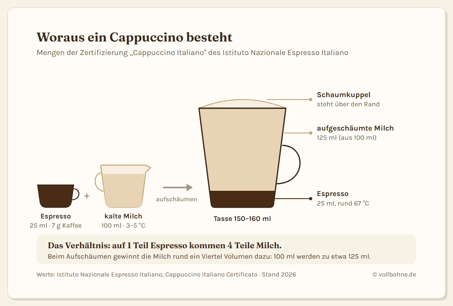 Schema zum Aufbau eines Cappuccinos: aus 25 Millilitern Espresso aus 7 Gramm Kaffee und 100 Millilitern kalter Milch mit 3 bis 5 Grad entsteht eine Tasse mit 150 bis 160 Millilitern. Unten liegen 25 Milliliter Espresso mit rund 67 Grad, darüber 125 Milliliter aufgeschäumte Milch, oben eine Schaumkuppel über dem Tassenrand. Das Verhältnis beträgt ein Teil Espresso auf vier Teile Milch, beim Aufschäumen gewinnt die Milch rund ein Viertel Volumen dazu.