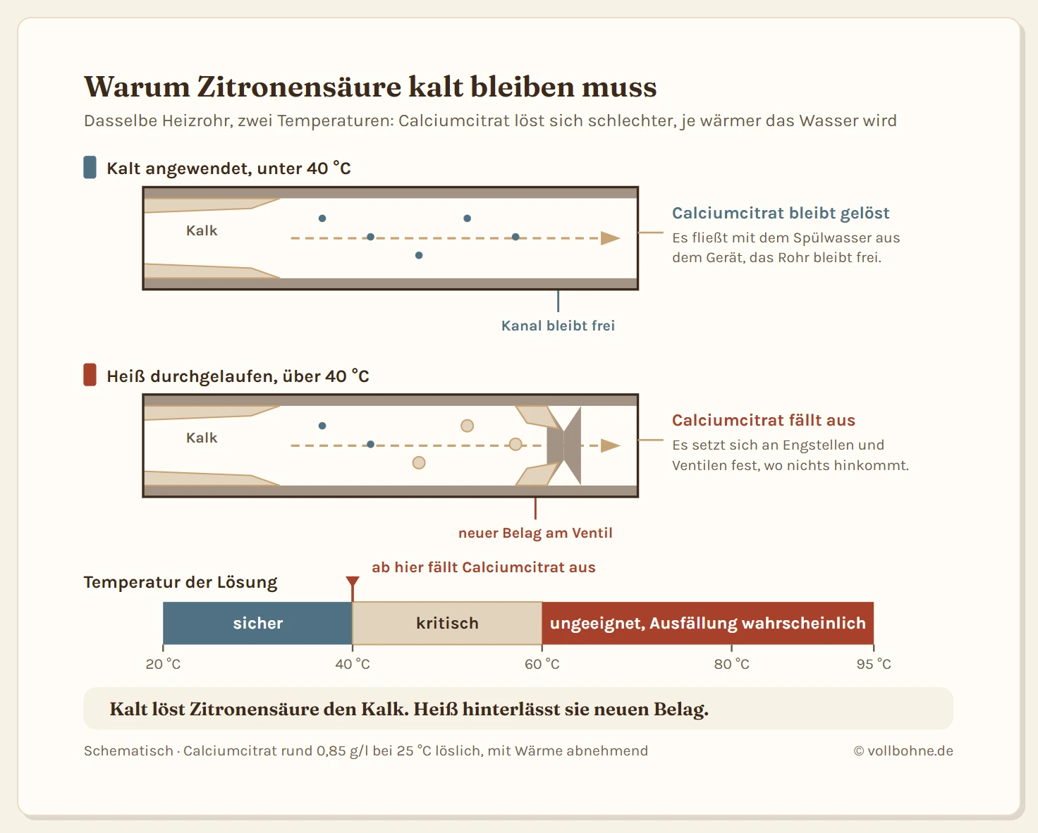 Zwei Wege im Schnitt durch ein Heizrohr mit Kalkschicht. Oben der kalte Weg: Zitronensäurelösung bei 20 bis 40 Grad löst den Kalk zu Calciumcitrat, das gelöst bleibt und mit dem Spülwasser abtransportiert wird. Unten der heiße Weg: Bei über 40 Grad fällt das Calciumcitrat als weißer Belag aus und setzt sich an Engstellen und Ventilen fest. Rechts eine Temperaturskala von 20 bis 95 Grad mit der markierten Ausfällungsgrenze bei etwa 40 Grad und den Zonen sicher, kritisch und ungeeignet.