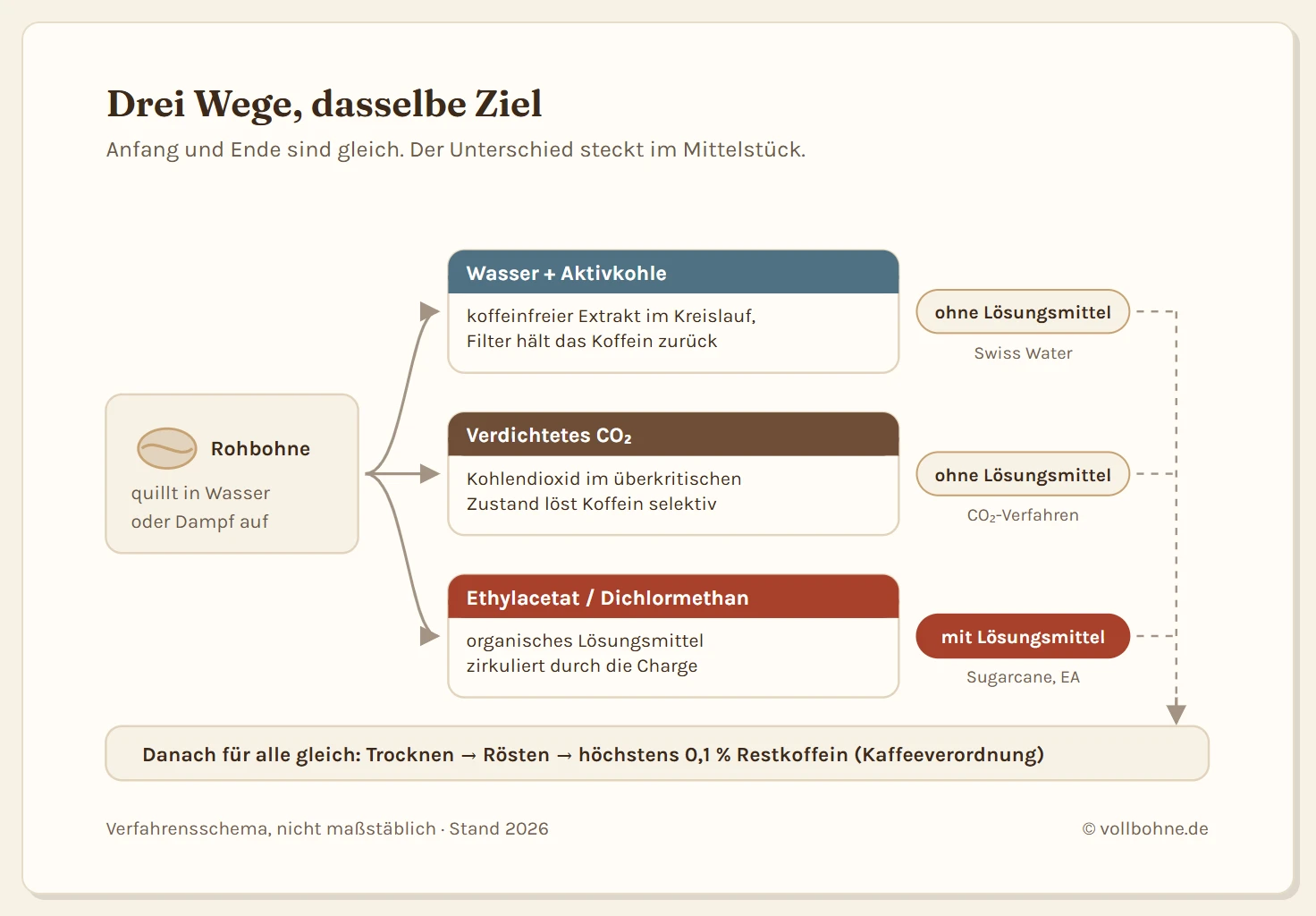 Ablaufschema der Entkoffeinierung: Die Rohbohne quillt zunächst in Wasser oder Dampf auf, danach verzweigt der Weg in drei Verfahren. Der Wasserweg führt über einen koffeinfreien Grünkaffee-Extrakt und Aktivkohlefilter, der CO2-Weg über verdichtetes Kohlendioxid im Druckbehälter, der Lösungsmittelweg über Ethylacetat oder Dichlormethan. Alle drei Wege enden im Trocknen und Rösten der Bohne.