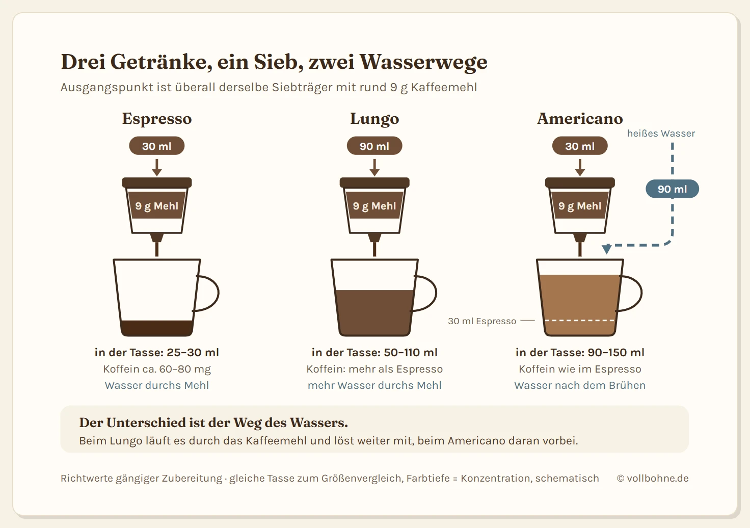 Schema mit drei Zubereitungen aus demselben Siebträger mit 9 Gramm Kaffeemehl. Beim Espresso laufen 30 Milliliter durch das Mehl und ergeben 25 bis 30 Milliliter in der Tasse mit 60 bis 80 Milligramm Koffein. Beim Lungo laufen 90 Milliliter durch dasselbe Mehl und ergeben 50 bis 110 Milliliter mit mehr Koffein. Beim Americano laufen 30 Milliliter durch das Mehl, zusätzlich fließen 90 Milliliter heißes Wasser am Sieb vorbei direkt in die Tasse, das ergibt 90 bis 150 Milliliter mit dem Koffein eines Espressos.