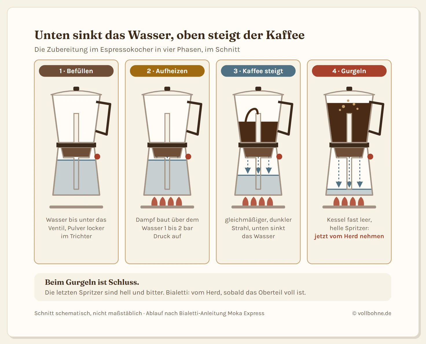 Vier schematische Schnitte durch eine Mokkakanne nebeneinander, die den Ablauf der Zubereitung zeigen. Phase 1, befüllen: Der Kessel ist bis knapp unter das Sicherheitsventil mit Wasser gefüllt, der Trichter locker mit Kaffeemehl, das Oberteil ist leer. Phase 2, aufheizen: Über dem Wasser bildet sich Dampf, der Druck steigt, Pfeile zeigen nach unten auf die Wasseroberfläche. Phase 3, Kaffee steigt: Das Wasser im Kessel ist zur Hälfte gesunken, ein gleichmäßiger dunkler Strahl tritt oben aus dem Steigrohr, das Oberteil füllt sich. Phase 4, gurgeln: Der Kessel ist fast leer, aus dem Steigrohr kommen hellere Spritzer und Dampf, das Oberteil ist voll. Ein Hinweis markiert diesen Moment als Zeitpunkt, die Kanne vom Herd zu nehmen. Merksatz: Unten sinkt das Wasser, oben steigt der Kaffee, beim Gurgeln ist Schluss.