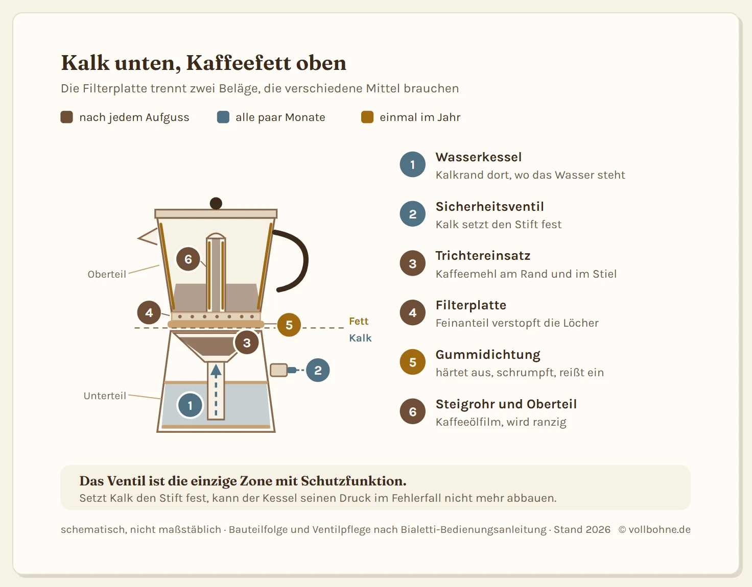 Schnitt durch einen Espressokocher mit sechs nummerierten Pflegezonen und dem Weg des Wassers von unten nach oben. Im Unterteil steht das Wasser, seitlich sitzt das Sicherheitsventil, darüber der Trichtereinsatz mit dem Kaffeemehl, dann folgen Filterplatte und Dichtung, in der Mitte steigt der fertige Kaffee durch das Steigrohr in das Oberteil. Zone 1 ist der Wasserkessel mit Kalkrand, alle paar Monate fällig. Zone 2 ist das Sicherheitsventil, das durch Kalk festsetzen kann und vierteljährlich zu prüfen ist. Zone 3 ist der Trichtereinsatz mit Kaffeeresten am Rand, nach jedem Aufguss fällig. Zone 4 ist die Filterplatte mit verstopften Löchern, nach jedem Aufguss fällig. Zone 5 ist die Gummidichtung, die aushärtet und einmal jährlich zu prüfen ist. Zone 6 ist das Steigrohr mit Kaffeeölfilm im Inneren, nach jedem Aufguss fällig. Eine Legende ordnet jeder Zone ihren Belag und ihr Intervall zu.