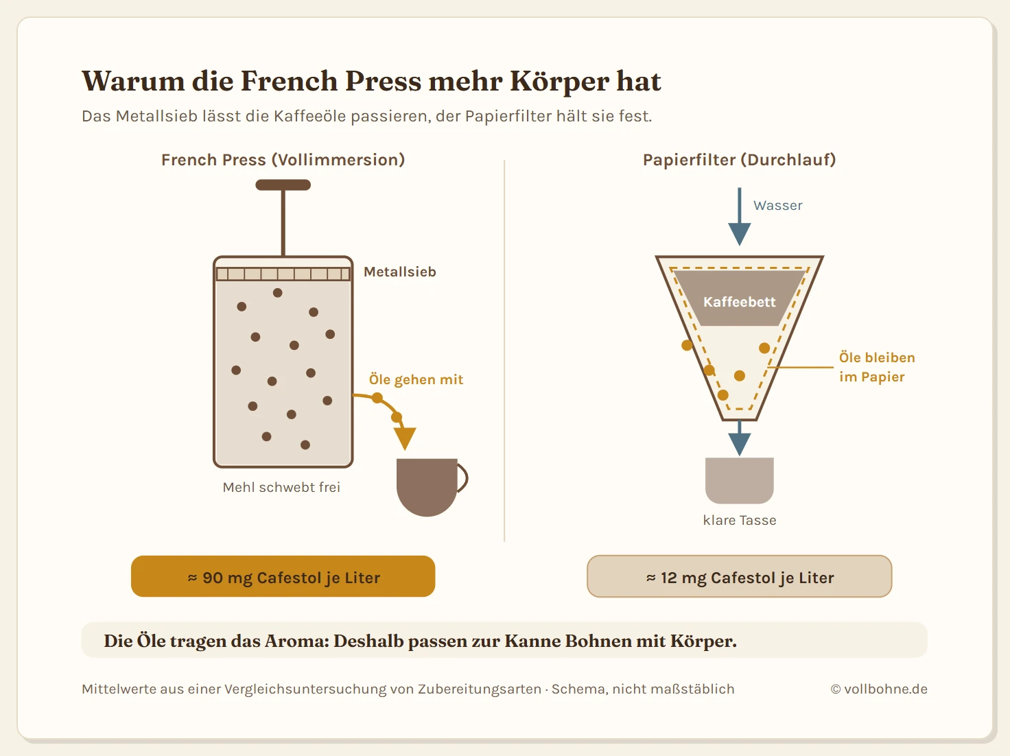 Zwei Schnittzeichnungen nebeneinander. Links die French Press mit im Wasser schwebendem Kaffeemehl und einem Metallsieb, durch das Kaffeeöle und Feinanteil in die Tasse gelangen, rund 90 Milligramm Cafestol je Liter. Rechts der Papierfilter, in dem das Wasser das Kaffeebett durchläuft und das Papier Öle und Feinanteil zurückhält, rund 12 Milligramm Cafestol je Liter.