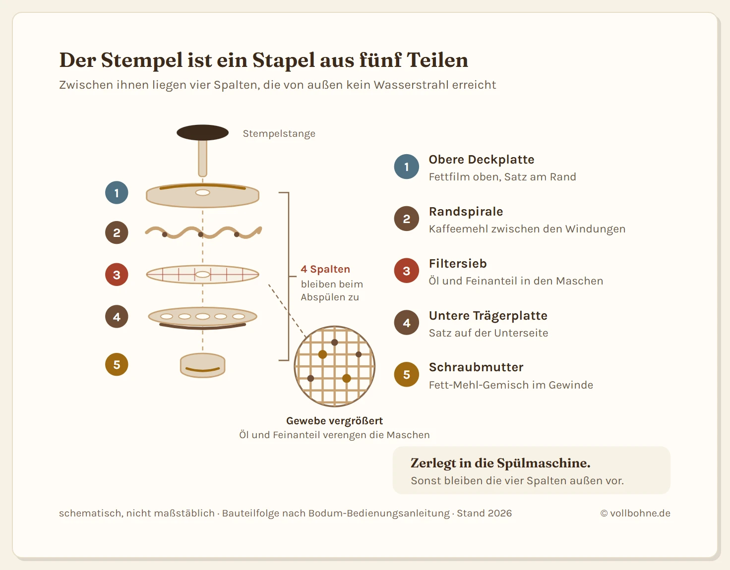 Explosionszeichnung des Stempels einer French Press mit fünf Bauteilen übereinander und den typischen Ablagerungen an jedem Teil. Von oben nach unten: die Stempelstange mit der oberen Deckplatte, darunter die Randspirale, dann das Filtersieb aus feinem Drahtgewebe, darunter die untere Trägerplatte und ganz unten die Schraubmutter, die den Stapel zusammenhält. Rechts steht neben jedem Teil, was sich dort ablagert. An der Deckplatte sammelt sich Kaffeefett am Rand, in der Randspirale klemmt Kaffeemehl zwischen den Windungen, im Drahtgewebe setzen sich Öl und Feinanteil in den Maschen fest, unter der Trägerplatte staut sich Satz, und im Gewinde der Schraubmutter bleibt eine Mischung aus Fett und Mehl. Ein Hinweis erklärt, dass sich zwischen den verschraubten Platten der Spalt befindet, den bloßes Abspülen nie erreicht.