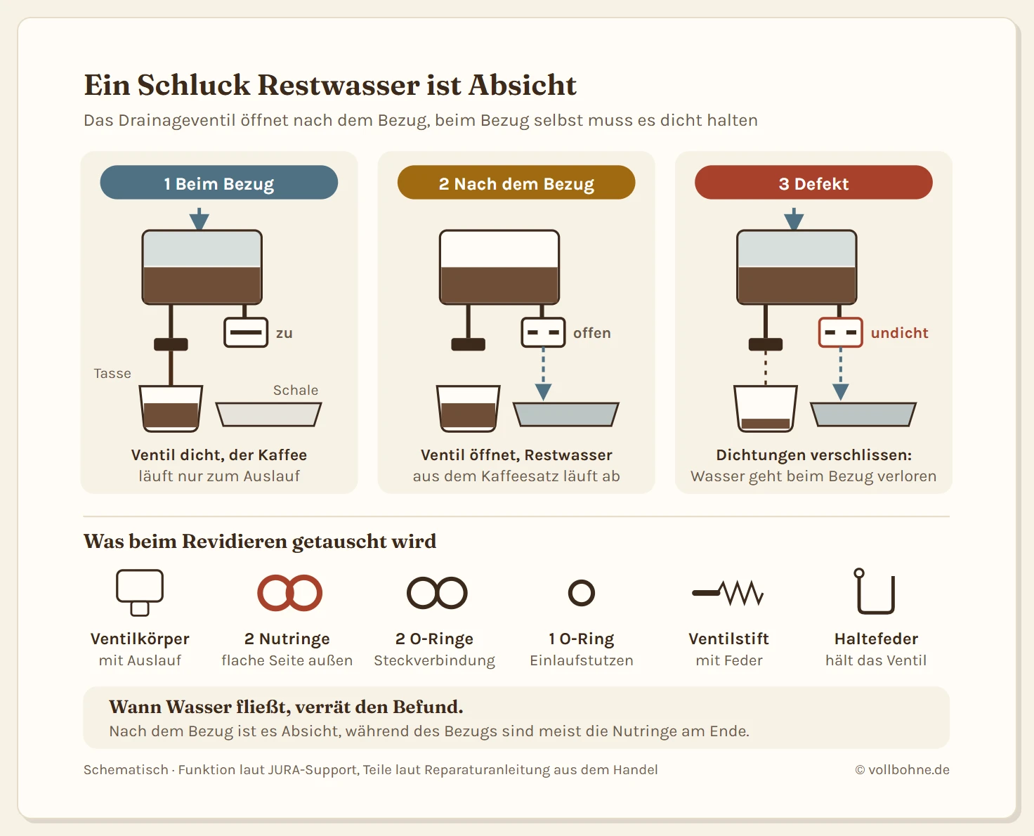 Drei schematische Schnitte durch die Brüheinheit mit dem Drainageventil darunter. Erstens beim Bezug: Wasser läuft durch das Kaffeemehl, das Ventil ist zu, der Kaffee fließt nur in die Tasse. Zweitens nach dem Bezug: Das Ventil ist offen, Restwasser aus dem Kaffeesatz läuft in die Restwasserschale. Drittens defekt: Das Ventil ist undicht, schon beim Bezug läuft Wasser in die Schale und in der Tasse kommt wenig an. Darunter die Teile beim Revidieren: Ventilkörper mit Auslauf, zwei Nutringe mit der flachen Seite nach außen, zwei O-Ringe für die Steckverbindung, ein O-Ring am Einlaufstutzen, Ventilstift mit Feder und Haltefeder.