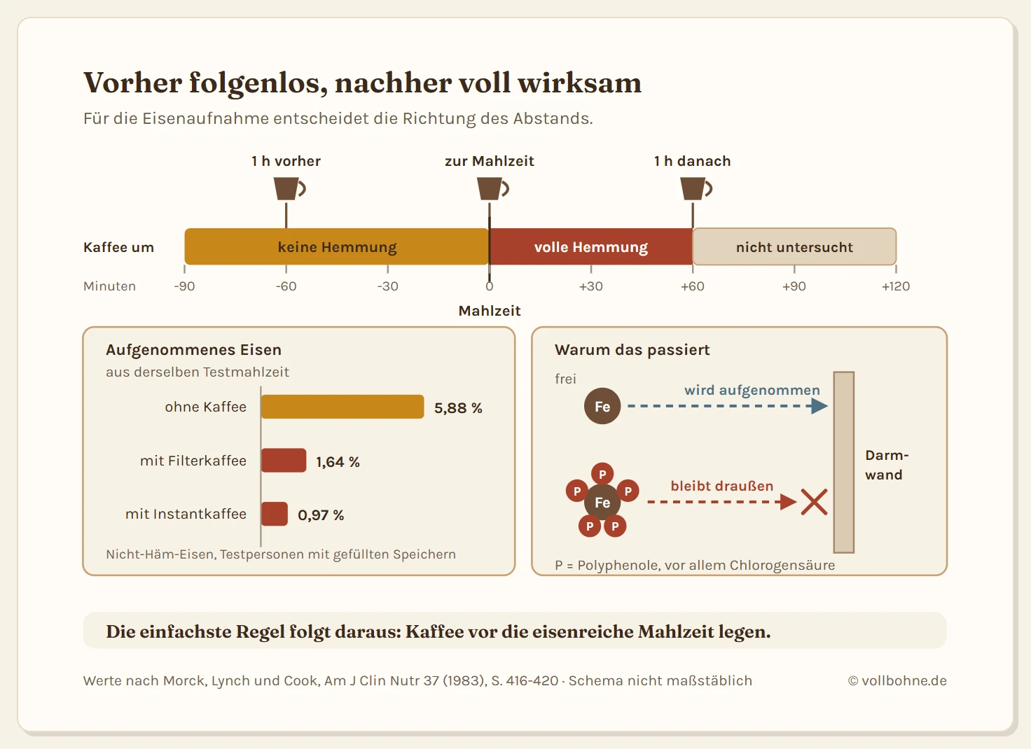 Zeitachse rund um eine Mahlzeit mit drei markierten Trinkzeitpunkten für Kaffee. Eine Stunde vor der Mahlzeit liegt im unbedenklichen Bereich, dort trat in der Studie keine Verringerung der Eisenaufnahme auf. Der Zeitpunkt der Mahlzeit selbst und der Zeitpunkt eine Stunde danach liegen im Hemmbereich, dort war die Aufnahme gleich stark verringert. Rechts daneben ein Balkendiagramm der gemessenen Absorptionswerte aus derselben Studie: Mahlzeit ohne Kaffee 5,88 Prozent, Mahlzeit mit Filterkaffee 1,64 Prozent, Mahlzeit mit Instantkaffee 0,97 Prozent. Darunter ein Schema des Wirkmechanismus: Polyphenole aus dem Kaffee lagern sich im Darm an ein Eisen-Ion an, der entstehende Komplex passiert die Darmwand nicht und wird ausgeschieden, während freies Eisen die Darmwand durchquert.