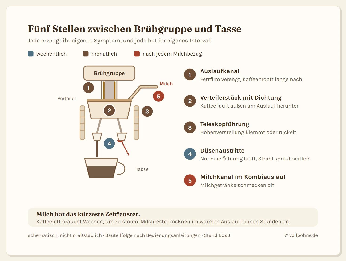 Schnitt durch die Auslaufeinheit eines Kaffeevollautomaten mit dem Kaffeeweg von der Brühgruppe bis in die Tasse und fünf markierten Störstellen. Der Kaffee verlässt oben die Brühgruppe, läuft durch den Auslaufkanal in ein Verteilerstück und von dort über zwei Düsen in die Tasse. Störstelle 1 ist der Auslaufkanal mit Fettfilm, Störstelle 2 das Verteilerstück mit seiner Dichtung, Störstelle 3 die Teleskopführung der Höhenverstellung, in der Kaffeemehl verklebt, Störstelle 4 sind die beiden Düsenaustritte mit Krustenbildung am Rand und Störstelle 5 ist der seitlich einmündende Milchkanal bei Geräten mit Milchfunktion. Eine Legende ordnet jeder Stelle ihr typisches Symptom zu.