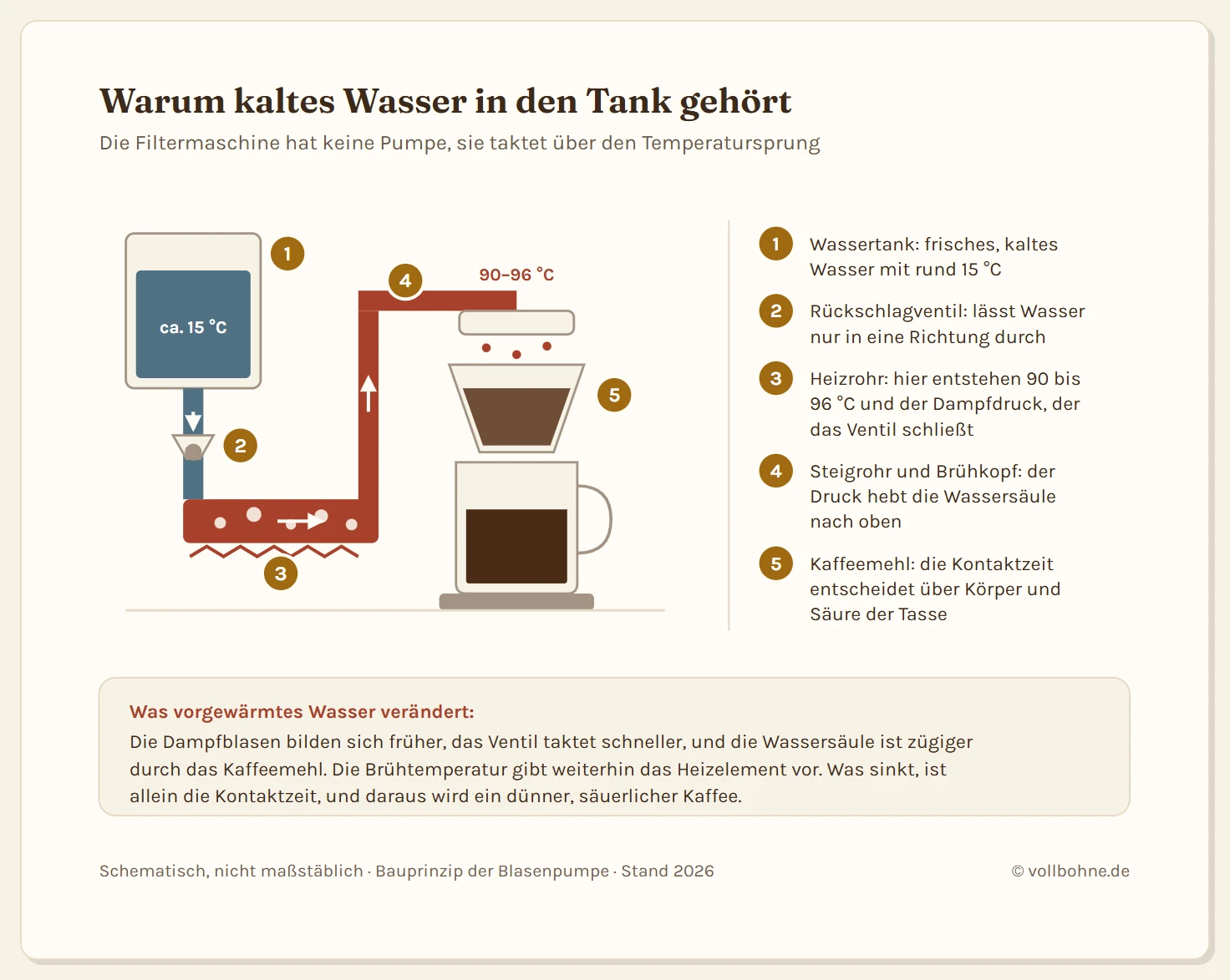 Schnittzeichnung einer Filterkaffeemaschine mit dem Weg des Wassers in fünf nummerierten Stationen. Links steht der Wassertank mit kaltem Wasser bei etwa 15 Grad, von dort führt ein Schlauch nach unten zum Rückschlagventil, das nur in eine Richtung öffnet. Darunter liegt das Heizrohr im Querschnitt mit dem Heizelement und aufsteigenden Dampfblasen, in dem das Wasser auf 90 bis 96 Grad erhitzt wird. Der Dampfdruck schließt das Ventil und drückt die Wassersäule durch das Steigrohr nach oben zum Brühkopf, von dem das Wasser auf das Kaffeemehl im Filter tropft und als fertiger Kaffee in die Kanne läuft. Eine Temperaturskala am Rand ordnet den Stationen ihre Temperatur zu. Ein Hinweiskasten stellt gegenüber, wie sich der Takt bei vorgewärmtem Wasser verändert: Die Dampfblasen bilden sich früher, das Ventil taktet schneller, die Wassersäule durchläuft das Kaffeemehl in kürzerer Zeit, während die Brühtemperatur unverändert vom Heizrohr bestimmt wird.