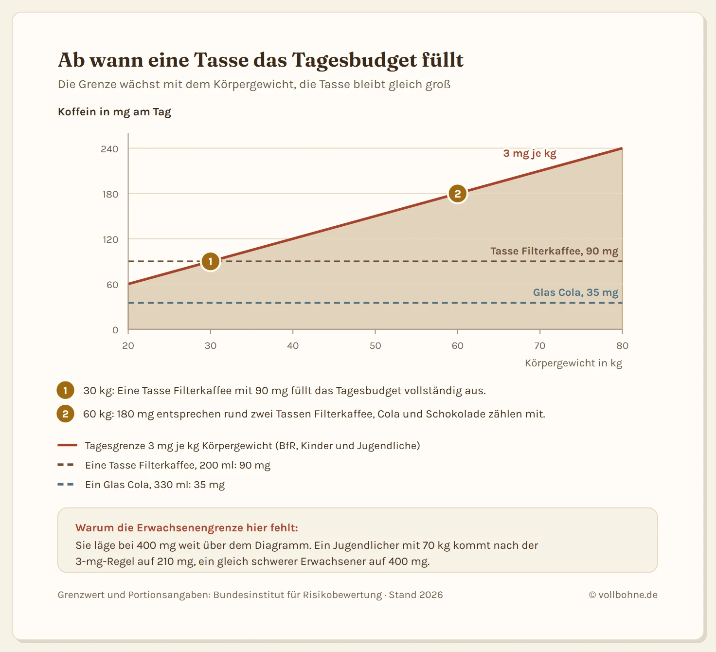 Diagramm mit dem Körpergewicht von 20 bis 80 Kilogramm auf der waagerechten Achse und der Koffeinmenge in Milligramm auf der senkrechten Achse. Eine ansteigende Gerade zeigt die Grenze des Bundesinstituts für Risikobewertung von 3 Milligramm je Kilogramm Körpergewicht für Kinder und Jugendliche: bei 20 Kilogramm 60 Milligramm, bei 40 Kilogramm 120 Milligramm, bei 80 Kilogramm 240 Milligramm. Drei waagerechte Linien markieren typische Portionen: ein Glas Cola mit 35 Milligramm, ein Espresso mit 80 Milligramm und eine Tasse Filterkaffee mit 90 Milligramm. Die Linie für die Tasse Filterkaffee schneidet die Gerade bei 30 Kilogramm, dort ist mit einer einzigen Tasse das Tagesbudget erreicht. Eine vierte, deutlich höher liegende waagerechte Linie bei 400 Milligramm zeigt die Tagesmenge für gesunde Erwachsene, die auch bei 80 Kilogramm weit über der gewichtsbezogenen Geraden liegt.