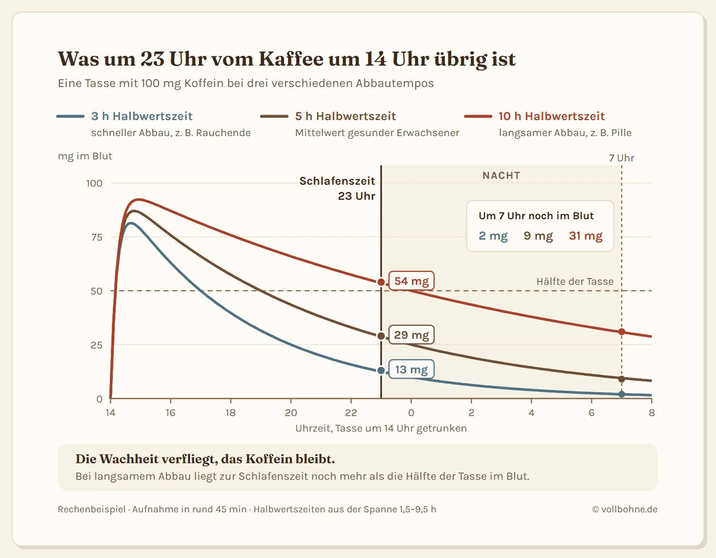 Liniendiagramm mit drei Abbaukurven für eine Tasse Kaffee mit 100 Milligramm Koffein, getrunken um 14 Uhr, auf einer Zeitachse bis 8 Uhr am nächsten Morgen. Alle drei Kurven steigen in der ersten Stunde steil an und fallen dann unterschiedlich schnell. Bei schnellem Abbau mit 3 Stunden Halbwertszeit sind um 23 Uhr noch 13 Milligramm im Blut, beim Mittelwert von 5 Stunden 29 Milligramm, bei langsamem Abbau mit 10 Stunden Halbwertszeit 54 Milligramm. Um 7 Uhr morgens sind es 2, 9 und 31 Milligramm. Eine senkrechte Linie markiert die Schlafenszeit um 23 Uhr.