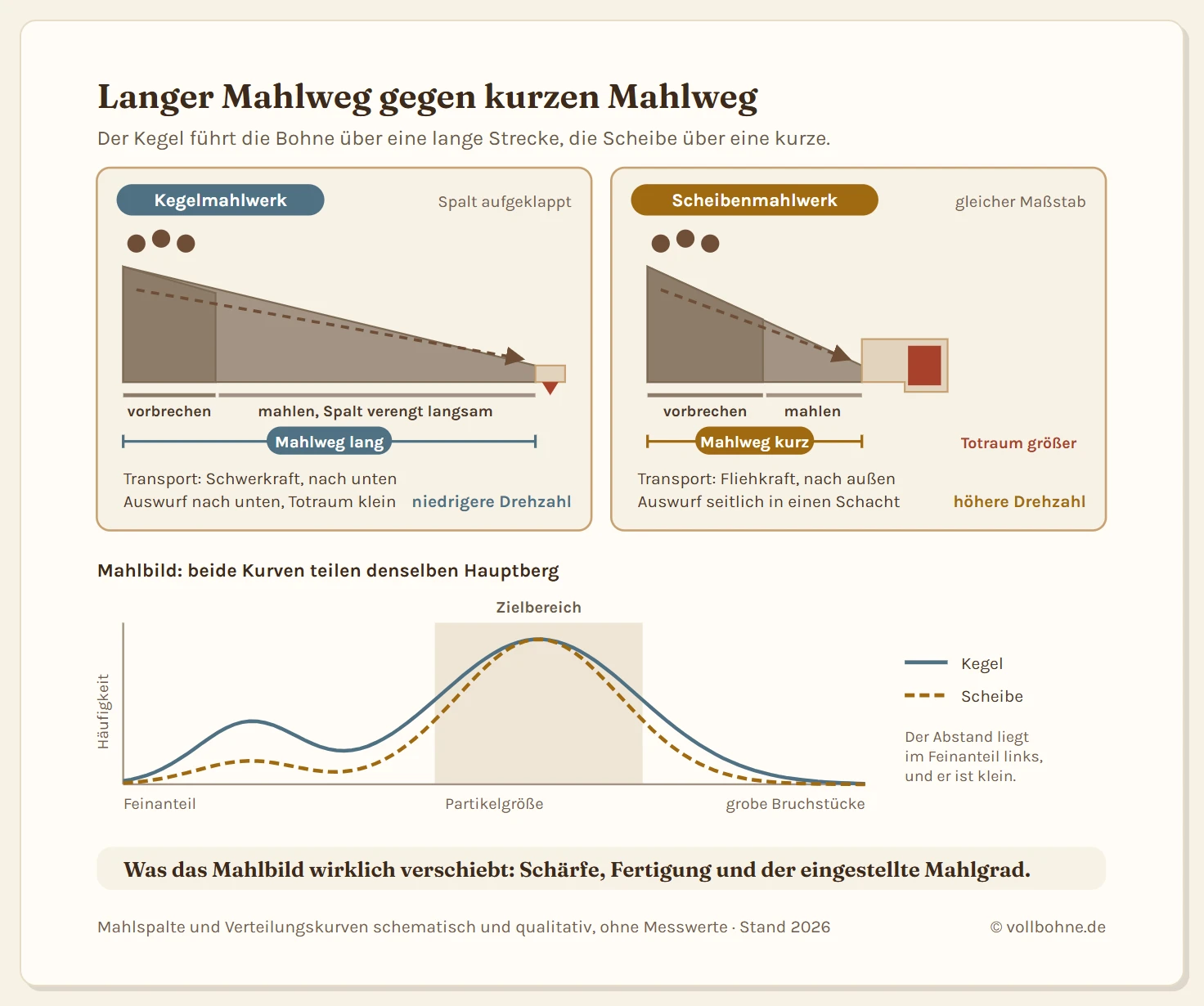 Grafik zum Vergleich von Kegel- und Scheibenmahlwerk. Oben sind beide Mahlspalte aufgeklappt als liegende Keile dargestellt, in denen die Spaltweite von links nach rechts abnimmt. Der Kegel zeigt einen langen, flach zulaufenden Keil mit kurzer Vorbrecherzone und langer Mahlzone, beschriftet mit senkrechtem Lauf durch Schwerkraft bei niedrigerer Drehzahl. Die Scheibe zeigt einen deutlich kürzeren, steiler zulaufenden Keil mit größerer Vorbrecherzone und kurzer Mahlzone, beschriftet mit waagerechtem Lauf durch Fliehkraft bei höherer Drehzahl. Am Ende jedes Keils sitzt ein Auswurf, beim Kegel senkrecht nach unten mit kleinem Totraum, bei der Scheibe seitlich in einen Schacht mit größerem Totraum. Darunter ein Diagramm der Partikelgrößenverteilung mit der Partikelgröße auf der waagerechten und der Häufigkeit auf der senkrechten Achse. Zwei Kurven liegen dicht beieinander und teilen denselben Hauptberg im Zielbereich, die Kegelkurve zeigt links davon einen etwas stärkeren Nebenberg im Feinanteil. Eine Fußnote weist die Kurven als schematisch und qualitativ aus.