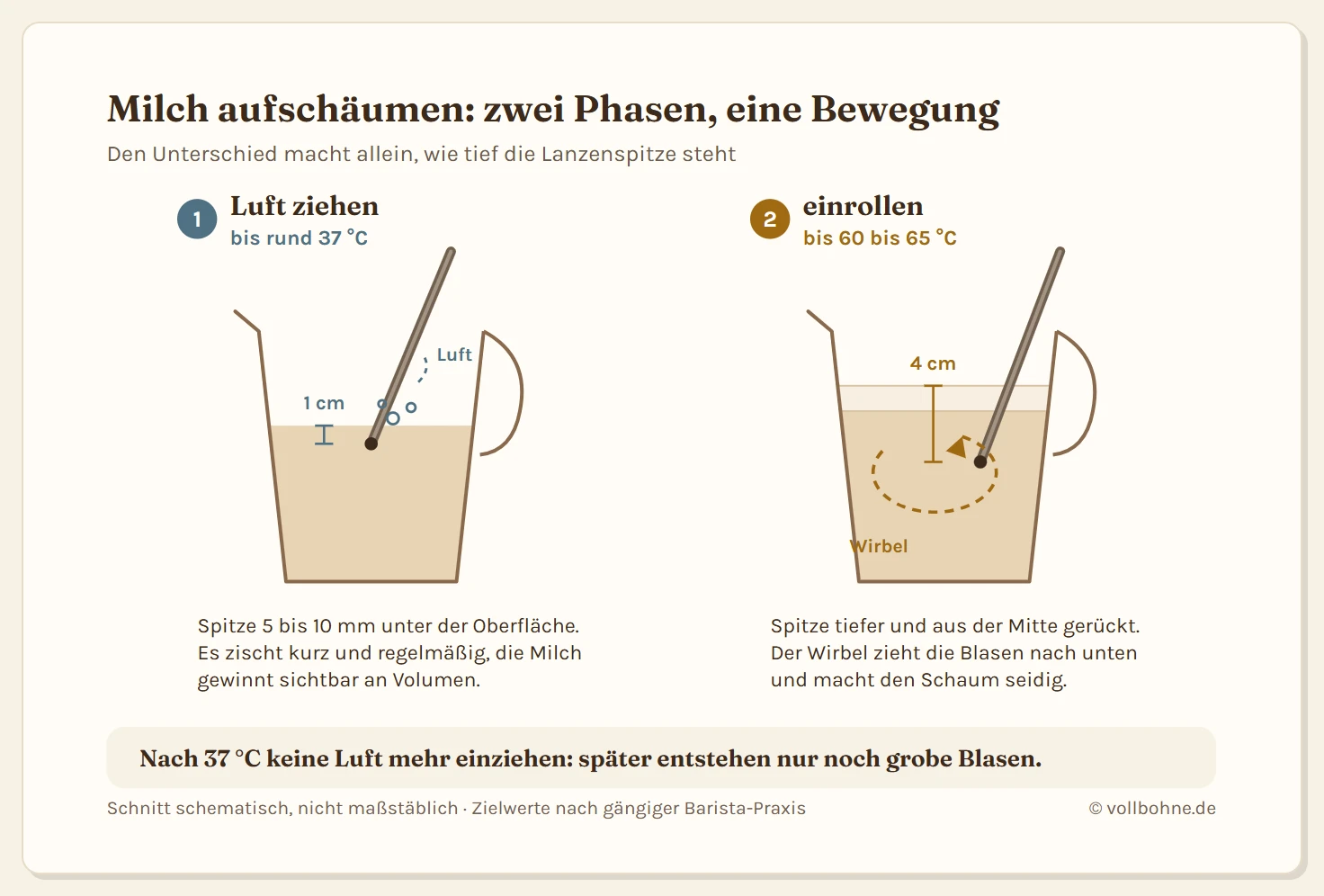 Zwei Milchkannen im Schnitt zeigen die zwei Phasen beim Aufschäumen. Links die Ziehphase bis rund 37 Grad mit der Lanzenspitze etwa einen Zentimeter unter der Oberfläche, dabei wird Luft eingerissen und das Volumen wächst. Rechts die Rollphase bis 60 bis 65 Grad mit der Spitze rund vier Zentimeter tief und aus der Mitte gerückt, dadurch entsteht ein Wirbel, der die Blasen unter die Milch zieht und den Schaum seidig macht.