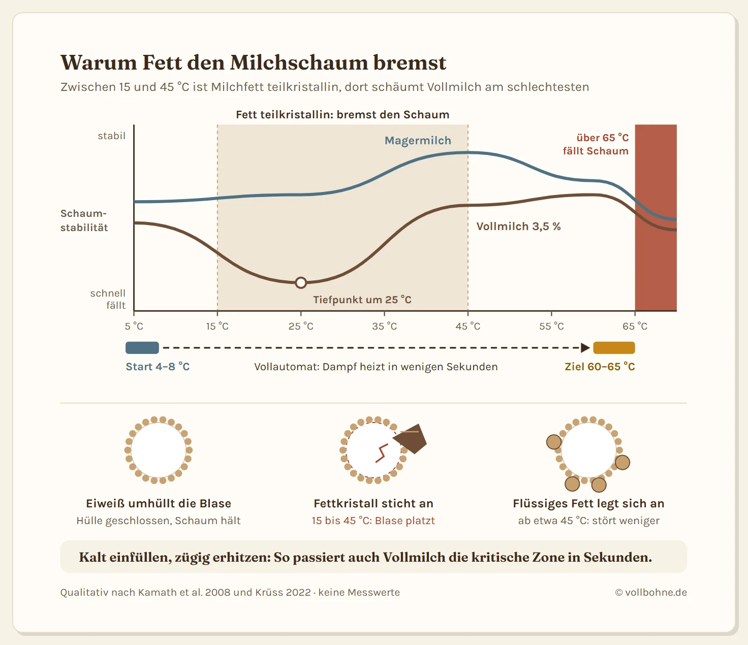 Qualitatives Diagramm der Schaumstabilität über der Milchtemperatur von 5 bis 70 Grad. Magermilch steigt bis 45 Grad auf ihr Maximum. Vollmilch fällt zwischen 15 und 45 Grad deutlich ab, mit einem Tiefpunkt um 25 Grad, und erholt sich darüber. Über 65 Grad fällt der Schaum bei beiden. Ein Pfeil zeigt den Weg im Vollautomaten von 4 bis 8 Grad auf 60 bis 65 Grad in wenigen Sekunden. Darunter drei Schemata: geschlossene Eiweißhülle, ein Fettkristall sticht die Hülle an, flüssiges Fett legt sich an die Hülle an.