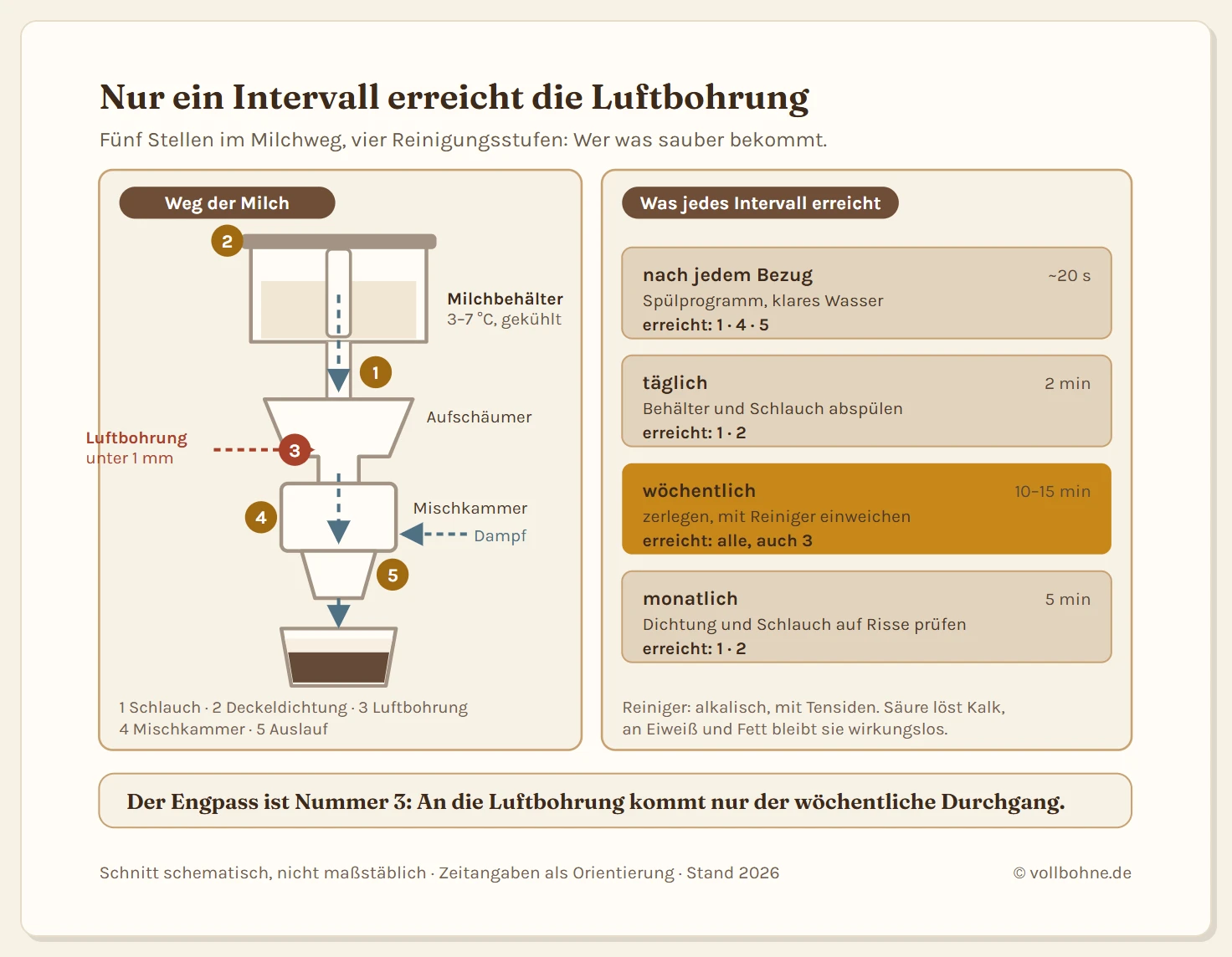 Zweiteilige Grafik zur Reinigung des Milchsystems am Kaffeevollautomaten. Links eine Schnittdarstellung der Aufschäumeinheit von oben nach unten: Milchbehälter mit Deckel und Dichtung, Ansaugschlauch, Aufschäumergehäuse mit der Luftansaugbohrung, Mischkammer, in die seitlich Dampf eintritt, und Auslaufstück zur Tasse. Ein gestrichelter Pfeil zeigt den Weg der Milch vom Behälter durch den Schlauch in die Mischkammer und weiter in die Tasse. Fünf nummerierte Marker sitzen an den Bauteilen: eins am Ansaugschlauch, zwei an der Deckeldichtung, drei an der Luftansaugbohrung unter einem Millimeter, vier an der Mischkammer und fünf am Auslaufstück. Rechts eine Intervall-Tafel mit vier Stufen: nach jedem Bezug das Spülprogramm mit rund zwanzig Sekunden, täglich das Abspülen von Behälter und Schlauch, wöchentlich das Zerlegen und Einweichen mit Milchsystemreiniger für zehn bis fünfzehn Minuten und monatlich die Kontrolle von Dichtungen und Schlauch auf Risse. Jeder Stufe sind die Nummern der Bauteile zugeordnet, die sie erreicht. Die Luftbohrung mit der Nummer drei wird erst vom wöchentlichen Durchgang erreicht.