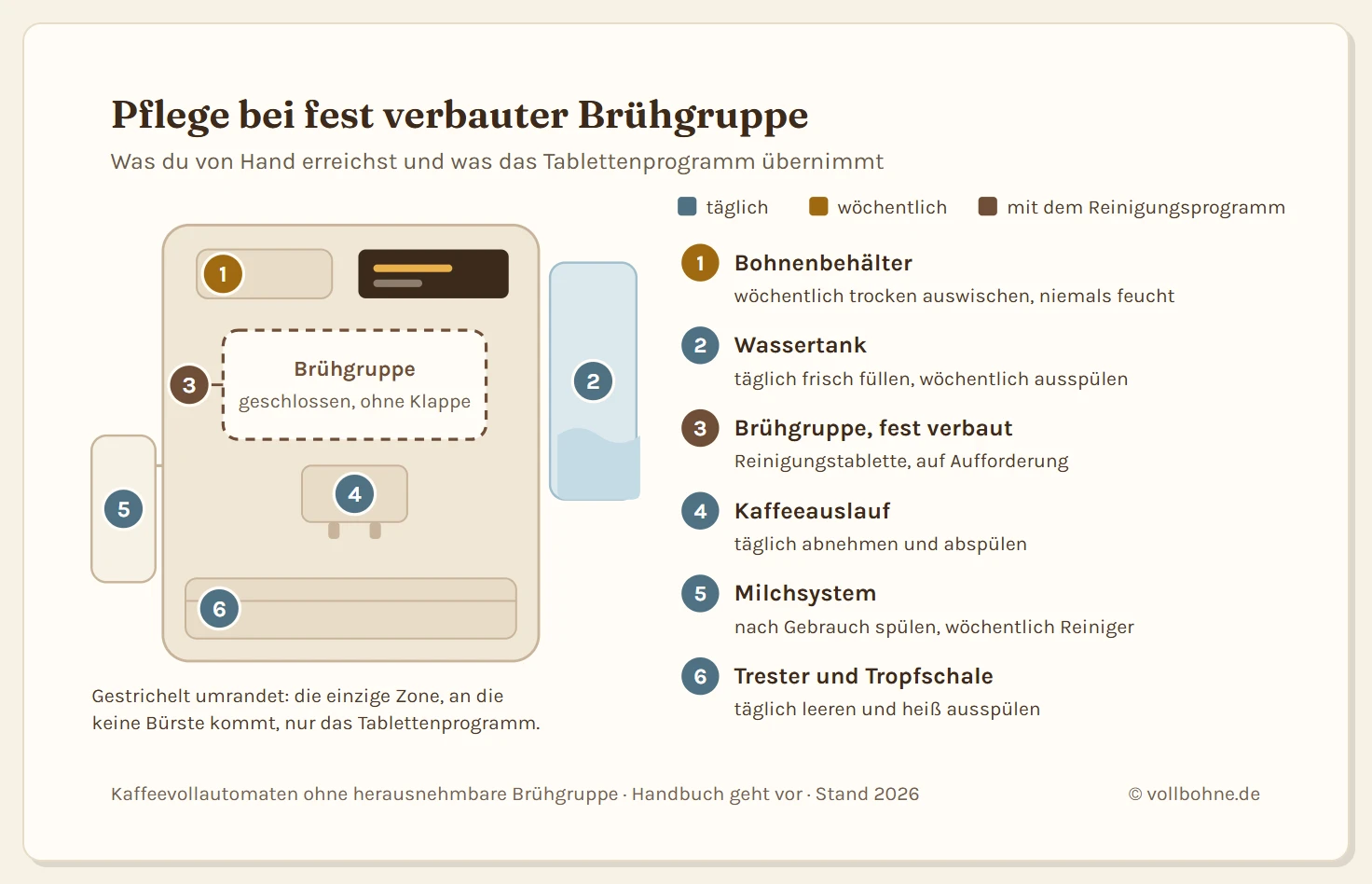 Schema eines Kaffeevollautomaten ohne herausnehmbare Brühgruppe mit sechs markierten Pflegezonen und ihren Intervallen: Bohnenbehälter wöchentlich trocken auswischen, Wassertank täglich frisch füllen und wöchentlich ausspülen, die fest verbaute Brühgruppe in der Mitte nur über das Reinigungsprogramm mit Tablette, Kaffeeauslauf täglich abnehmen und abspülen, Milchsystem nach jedem Gebrauch spülen und wöchentlich mit Reiniger, Tresterbehälter und Tropfschale täglich leeren. Die Brühgruppe ist gestrichelt umrandet als einzige Zone, an die keine Bürste kommt.