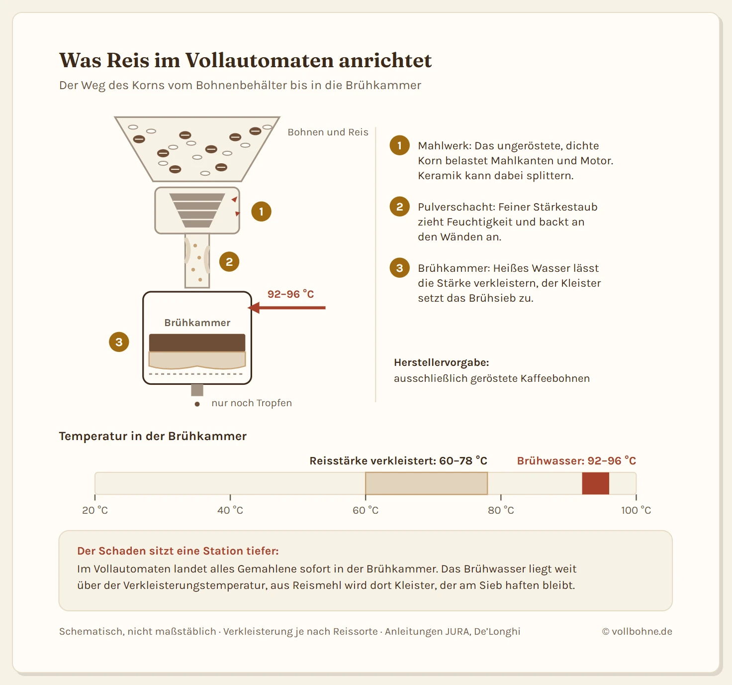 Schema des Bohnenwegs im Kaffeevollautomaten mit drei Stationen: Das Mahlwerk wird durch das dichte Reiskorn belastet, im Pulverschacht backt Stärkestaub an, in der Brühkammer verkleistert die Stärke mit 92 bis 96 Grad heißem Wasser und setzt das Sieb zu. Eine Temperaturskala zeigt, dass Reisstärke zwischen rund 60 und 78 Grad verkleistert.