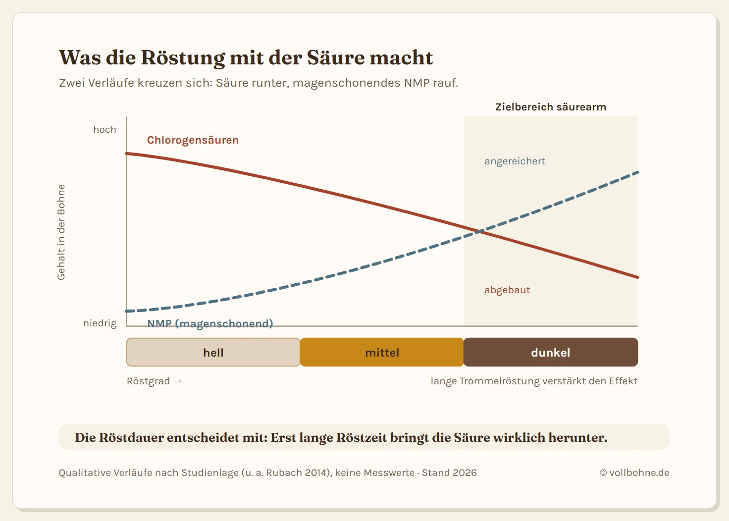 Röstverlauf mit drei Zonen von heller über mittlere bis dunkle Röstung. Die Kurve der Chlorogensäuren fällt mit zunehmender Röstung ab, die Kurve des magenschonenden N-Methylpyridinium steigt an, der Zielbereich für säurearmen Kaffee liegt im dunklen Drittel.
