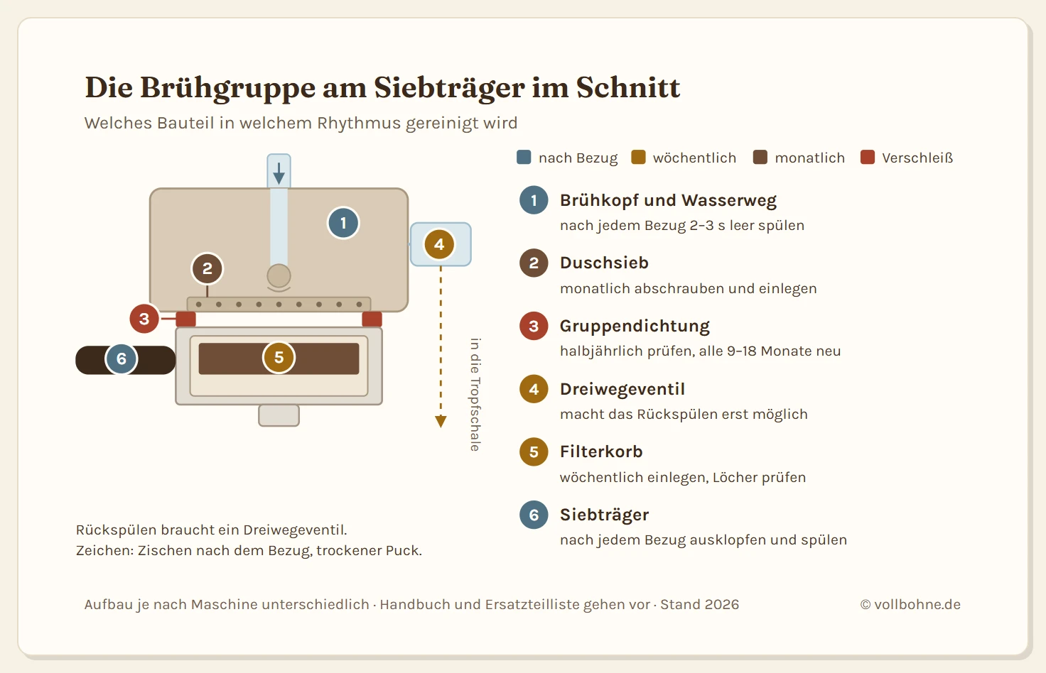 Schnittzeichnung der Brühgruppe eines Siebträgers mit sechs nummerierten Bauteilen und ihren Reinigungsintervallen: Brühkopf mit Wasserweg (nach jedem Bezug zwei bis drei Sekunden leer spülen), Duschsieb unter dem Brühkopf (monatlich abschrauben und einlegen), Gruppendichtung als Ring zwischen Brühkopf und Siebträger (halbjährlich prüfen, alle 9 bis 18 Monate tauschen), Dreiwegeventil seitlich am Brühkopf mit Ablauf in die Tropfschale (macht das Rückspülen erst möglich), Filterkorb mit Kaffeepuck im Siebträger (wöchentlich einlegen und Löcher gegen das Licht prüfen) und der Siebträger selbst (nach jedem Bezug ausklopfen und spülen).