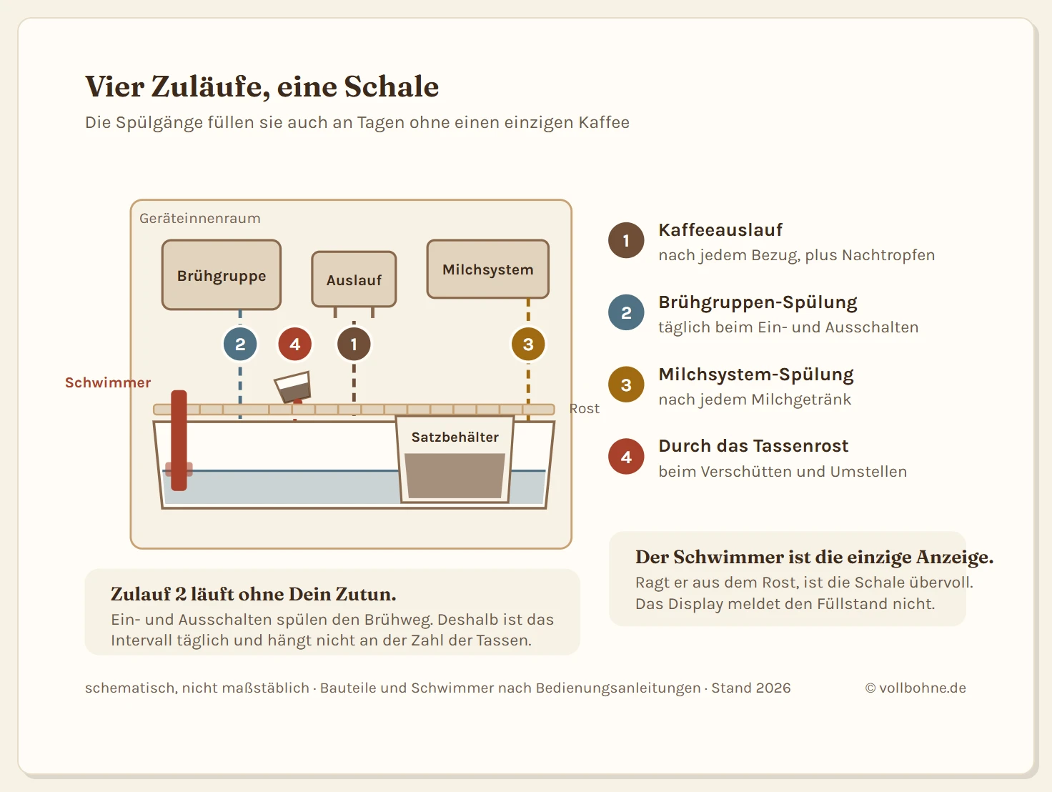 Schnitt durch den unteren Bereich eines Kaffeevollautomaten mit den vier Zuläufen in die Tropfschale. Von oben münden der Kaffeeauslauf mit nachlaufendem Kaffee, der Spülgang aus der Brühgruppe und der Spülgang des Milchsystems in die Schale; als vierter Weg fällt Verschüttetes aus einer schräg stehenden Tasse durch das Tassenrost. In der Schale steht die Flüssigkeit, links sitzt der rote Schwimmer in seiner Führung und ragt bei vollem Stand durch eine Öffnung im Tassenrost nach oben. Rechts daneben steht der Kaffeesatzbehälter mit dem gesammelten Satz. Eine Legende ordnet den Zuläufen ihre Häufigkeit zu: der Auslauf läuft nach jedem Bezug, die Brühgruppen-Spülung täglich beim Ein- und Ausschalten, das Milchsystem nach jedem Milchgetränk und der Eintrag durch den Rost beim Verschütten.